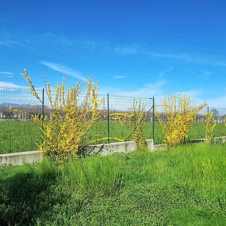 Bibiana Cascina La Demilana B&B 외부 사진